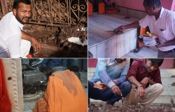 video kham pha noi 25000 con chuot duoc song nhu ong hoang ba chua