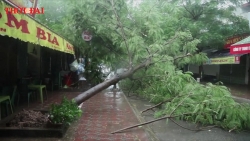 Video: Hà Nội oằn mình trước ảnh hưởng của bão số 3