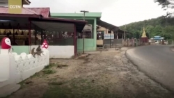 video choang canh hang nghin con khi xam lang ngoi chua o myanmar