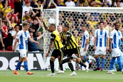 Link xem trực tiếp, link sopcast trận Watford vs Brighton vòng 1 Ngoại hạng Anh