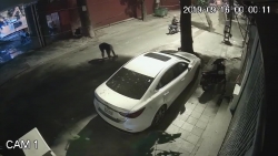 video ke bit mat nem lien tiep mam tom vao xe o to dat tien o ha noi