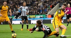 link xem truc tiep newcastle united vs brighton