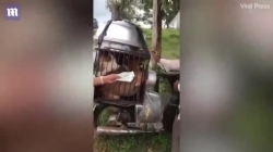 video nguoi dan ong bo hon 8 trieu dong giai cuu 9 chu cho sap bi giet thit