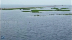 video choang voi con duong duoi nuoc chia doi mat ho nhu trong phim vien tuong