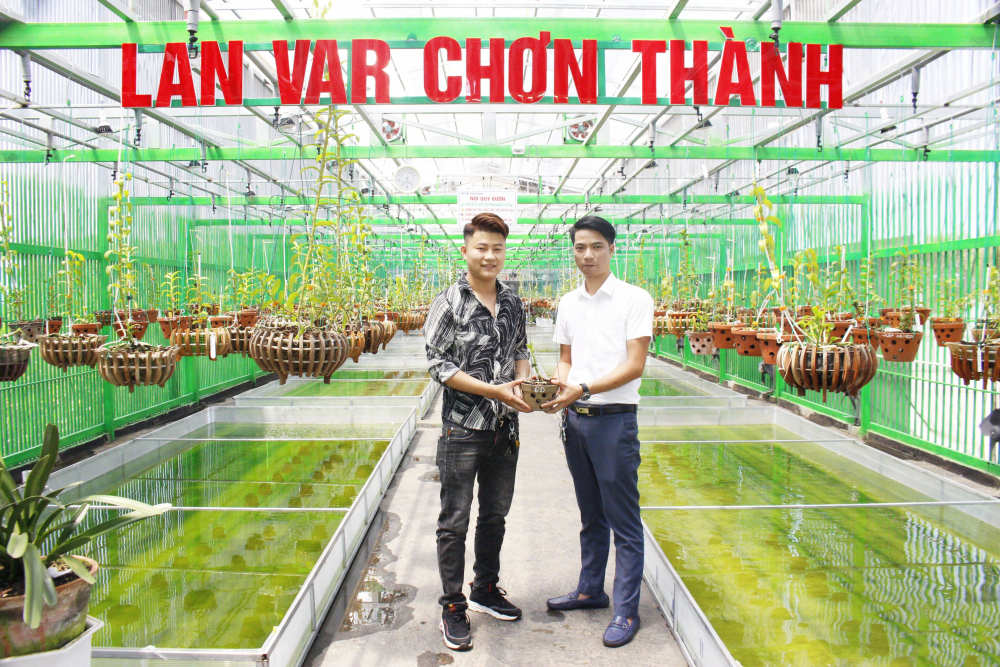 doanh nhan ho trong long cau chuyen khoi nghiep tu dam me trong hoa lan