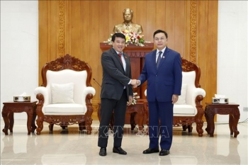 Lãnh đạo Lào đánh giá cao kết quả hợp tác giữa các cơ quan của Quốc hội Việt Nam và Lào