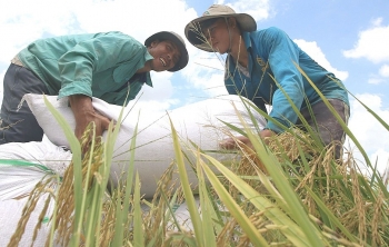 undp thanh tuu giam ngheo cua viet nam rat an tuong va duoc quoc te cong nhan