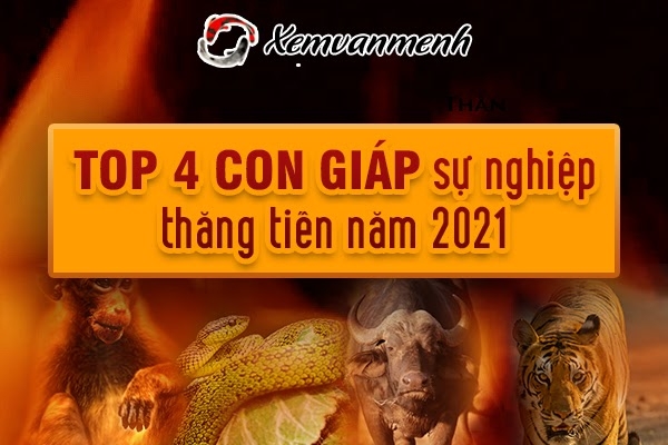 Xem tử vi 2021 về làm ăn: 4 con giáp sự nghiệp thăng tiến đỉnh cao