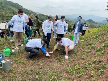 dai su quan israel tang gan 23000 cay xanh cho tinh hoa binh