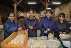 Sang Nhật làm nông nghiệp "rộng cửa" cho tu nghiệp sinh Việt Nam