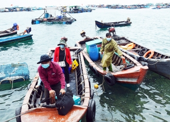 ca mau cu tri dao hon khoai hon chuoi hao huc di bau cu som