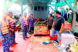 Kiên Giang: Bắt 2 tàu cá mua bán 25.000 lít dầu D.O trái phép trên biển