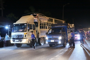 tu 238 phuong tien van chuyen hang hoa den can tho phai dang ky truoc
