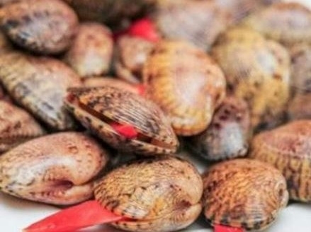 Đăng tin thất thiệt ăn sò lụa đỏ chết người, 9X bị phạt 10 triệu đồng