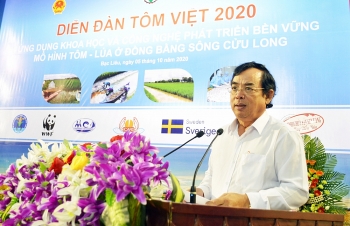 Mô hình lúa tôm tại Đồng bằng sông Cửu Long hiệu quả phát triển kinh tế, thích ứng biến đổi khí hậu