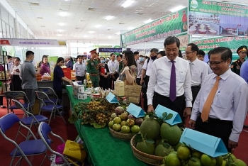 100 don vi trong va ngoai nuoc tham gia khai mac hoi cho nong nghiep quoc te tai can tho