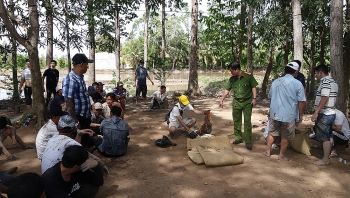 an giang triet pha truong ga voi quy mo lon tai vuon sao