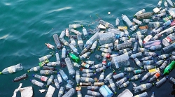 Từ ngày 1/9/2019, TP Hà Nội cắt giảm sản phẩm nhựa dùng một lần ở các cơ quan hành chính, đoàn thể
