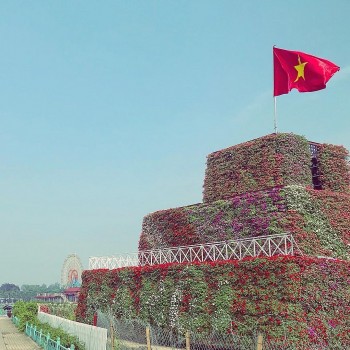 viet nam bung sac hoa