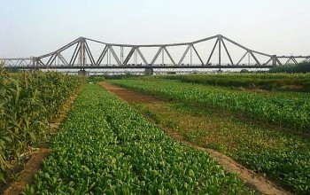 ha noi nghien cuu phat trien bai giua song hong thanh cong vien van hoa du lich