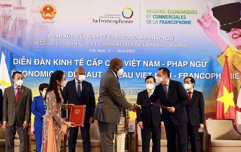 tang cuong ket noi doanh nghiep viet nam voi doanh nghiep trong cong dong phap ngu