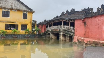 hoi an chuyen gia nhat ban ho tro tu bo chua cau