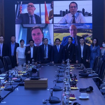 xuc tien xuat khau chanh buoi viet nam sang new zealand