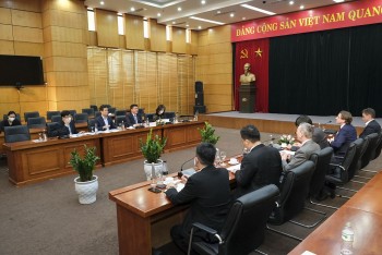 hoi dong nang luong gio toan cau se ho tro viet nam dao tao nhan luc nganh dien gio ngoai khoi