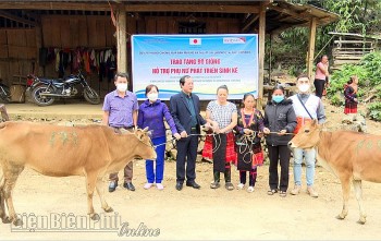 world vision giao bo cho phu nu muong cha dien bien phat trien sinh ke