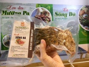 lon den muong pa ca tram song da xuong ha thanh