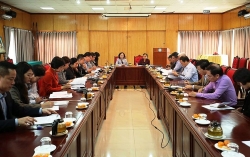 Hội hữu nghị Việt Nam - Cuba triển khai nhiều vấn đề quan trọng về nhân sự, đại hội và hoạt động năm 2020