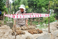 Di dời thành công 25 quả đạn cối dưới móng nhà dân tại huyện Gio Linh, tỉnh Quảng Trị