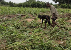 Người Việt tại Nam Phi gửi 2 tấn lương thực giúp Zimbabwe khắc phục hậu quả bão Idai