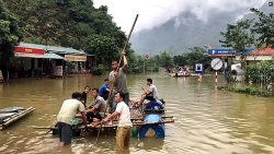 ford viet nam ho tro nguoi dan mien trung tai on dinh cuoc song sau thien tai