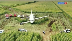 "Khoảnh khắc tử thần" máy bay Nga hạ cánh xuống cánh đồng ngô, gần 230 khách an toàn