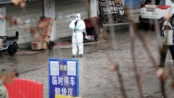 tin tuc the gioi moi nhat hom nay 242 hon 500 tu nhan nhiem covid 19 tai trung quoc