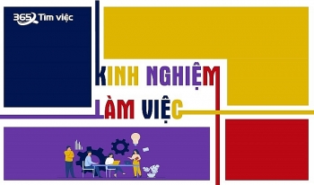 cach viet kinh nghiem lam viec trong cv tu timviec365vn