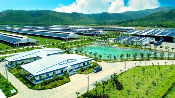 vinamilk green farm mo hinh trang trai bo sua phat trien ben vung