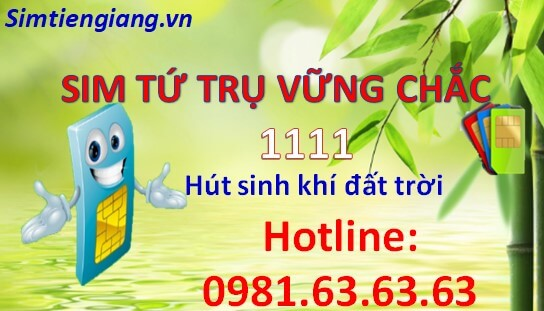 mua sim tu quy hut tai chieu loc chon mua o dau re uy tin