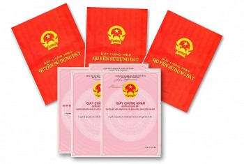3 dieu quan trong can nam ro truoc khi khoi kien tranh chap dat dai