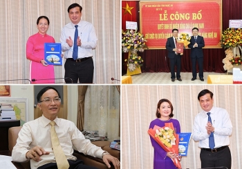 ha noi tphcm nghe an dieu dong bo nhiem lanh dao moi