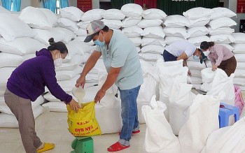 Người dân nghèo tại 7 tỉnh sẽ được nhận gạo cứu đói dịp Tết Nguyên đán và giáp hạt