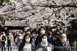 Giữa dịch COVID-19, hàng nghìn người dân Nhật Bản vẫn nô nức đi ngắm hoa anh đào