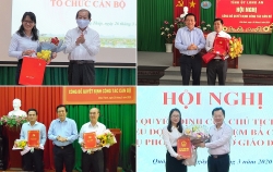 long an dong thap quang ninh bo nhiem nhan su lanh dao moi