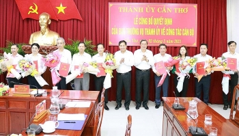hai phong can tho thai nguyen kien toan nhan su bo nhiem lanh dao moi