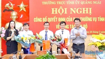 ha noi can tho va quang ngai bo nhiem hang loat nhan su moi