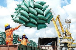 Đề nghị Bộ Công an điều tra nghi vấn tiêu cực trong xuất khẩu gạo