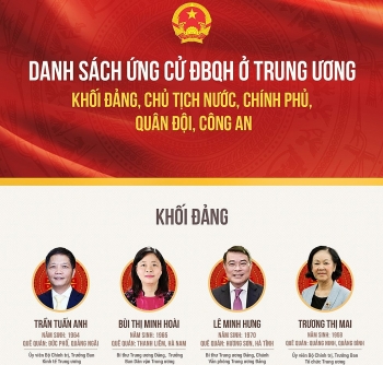 danh sach ung cu dbqh o trung uong khoi dang chu tich nuoc chinh phu cong an quan doi