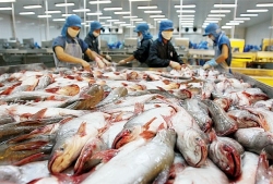 Trung Quốc miễn thuế cho 33 loại thuỷ sản nhập khẩu từ Việt Nam