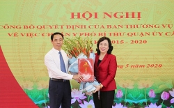 tin bo nhiem nhan su lanh dao moi tai ha noi ha nam nghe an